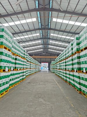 东莞仓库招租 快消品仓储/进出口集货/仓配一体/商超配送