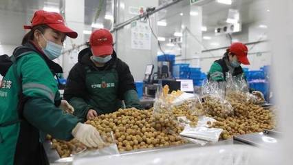 年货“云”上购!2021全国网上年货节启动:消费者“实折实扣”过大年