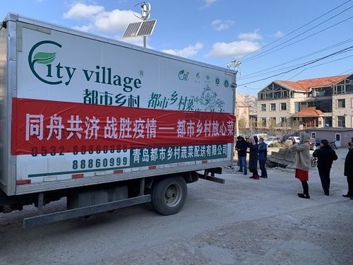 青岛市商务局推动菜篮子商品电商配送与进社区活动，助力快消品高效流通