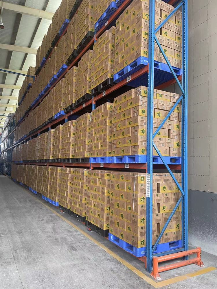 上海嘉定3.5万平现代化新仓面向快消品行业全面启动 集成仓储、托管、租赁与专业配送服务