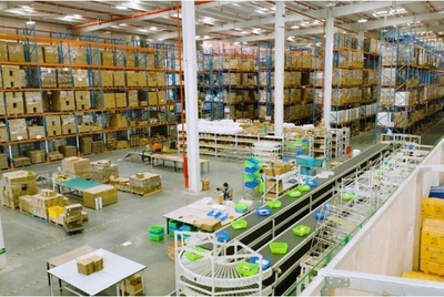 宠物用品市场与快消品配送的融合增长